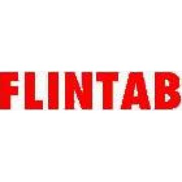 Flintab Srl