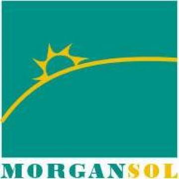 Salarizare si administrare personal de la Morgan Sol