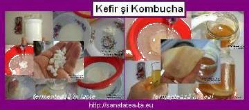 Tratamente miere ulei presat la rece Kombucha Kefir Propolis