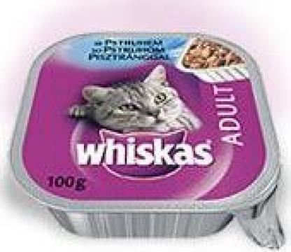 Hrana pisici Whiskas Adult Pate Pastrav 100 g de la Www.petshoponline.ro