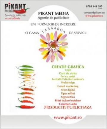 Servicii E-mail Marketing de la Pikant Media