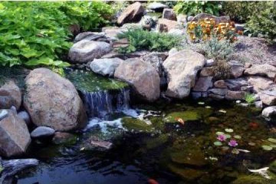 Iazuri, parauri, cascade ornamentale de la Special Garden Design Srl