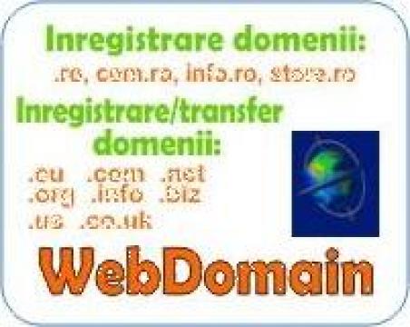 Inregistrare domenii, domain register de la Rusovici Ioana Pfa