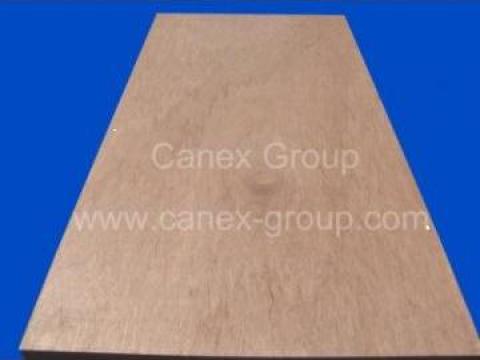 Placaj Hardwood Plywood / Tare de la Canex Group