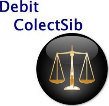 Recuperari creante datorii debite de la Debit Colectsib