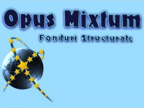 Implementare proiecte fonduri structurale de la Opus Mixtum