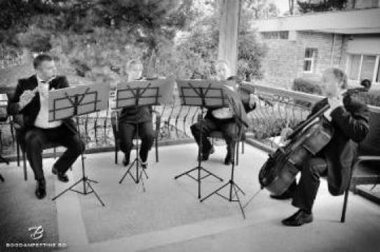 Eveniment muzical nunta Amadeo Cvartet de la Orchestra Amadeo