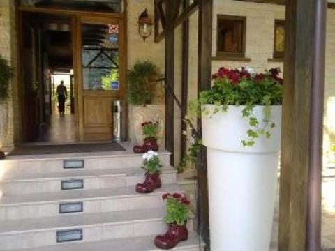 Vase flori ceramica decorate de la Sc Floraria Carmen Srl