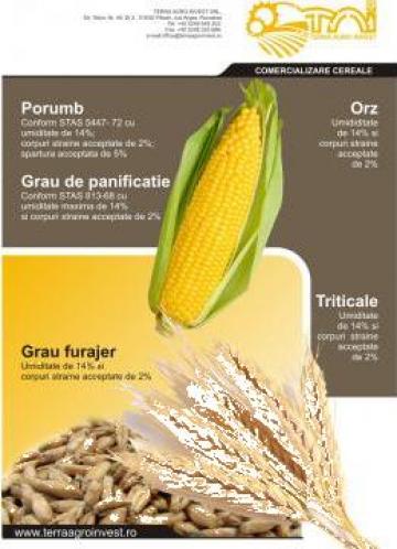 Cereale STAS de la Terra Agro Invest