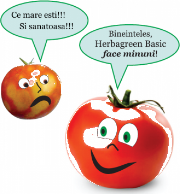 Ingrasamant, biostimulator, fungicid Herbagreen Basic