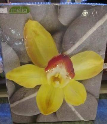 Tablou Poza 40x50 Flori de la Melia - Cadouri Si Decoratiuni