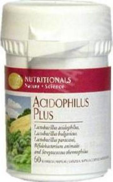 Supliment alimentar Acidophylus Plus Bacterii intestinale