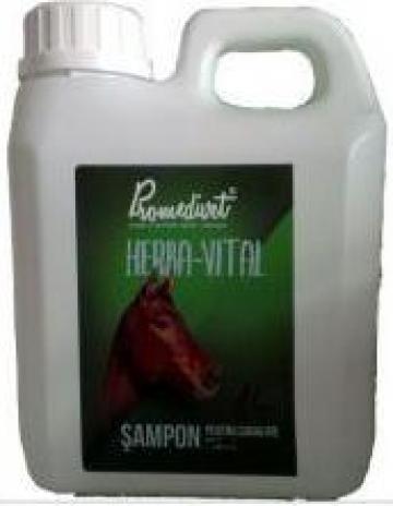 Sampon cabaline Herba-Vital de la Farmacia Veterinara O.G. & I. Ltd Impex