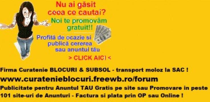 Servicii deszapezire la blocuri de la Curatenie Subsol Lupulescu Robert