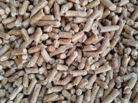 Peleti premium rasinoase