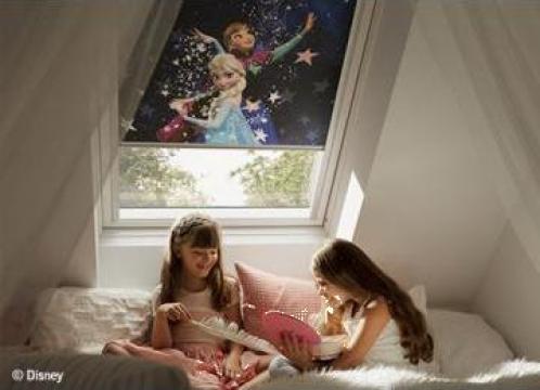 Rulou Disney and Velux Goodnight Collection