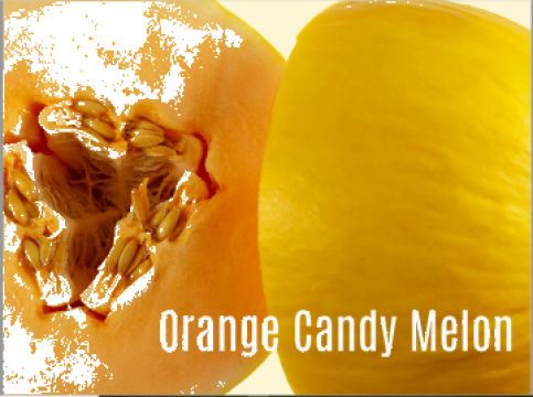 Pepene galben Orange Candy de la Frutas Y Verduras El Monarca