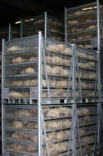 Containere metalice transport pasari de la Global Poultry Equipments Srl