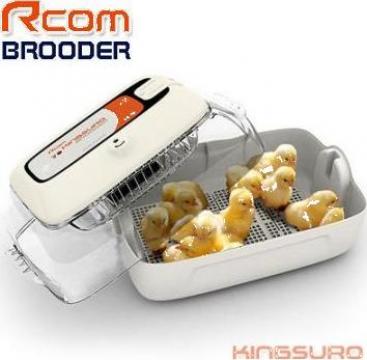 Incubator RCOM Kingsuro Brooder