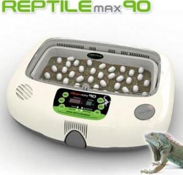 Incubator RCOM reptile Max 90 de la Daimon Tehn Srl