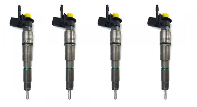 Reconditionare injector / injectoare 0445115050 - BMW 3.0 de la Reparatii Injectoare Buzau - Bosch, Delphi, Denso, Piezo, Si