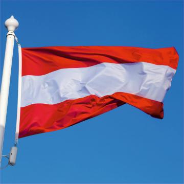 Steag Austria de la Color Tuning Srl