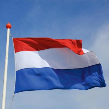 Steag Olanda de la Color Tuning Srl