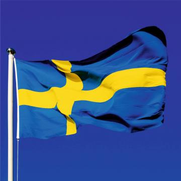 Steag Suedia de la Color Tuning Srl