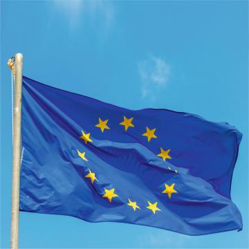 Steag UE de la Color Tuning Srl