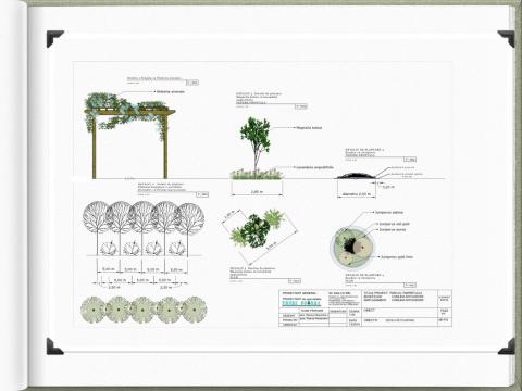 Plan peisagistic 2D de la Lali Design