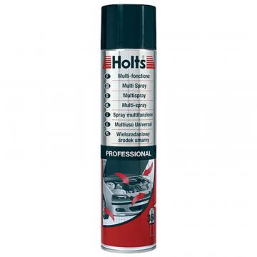 Spray aerosol multifunctional, Holts