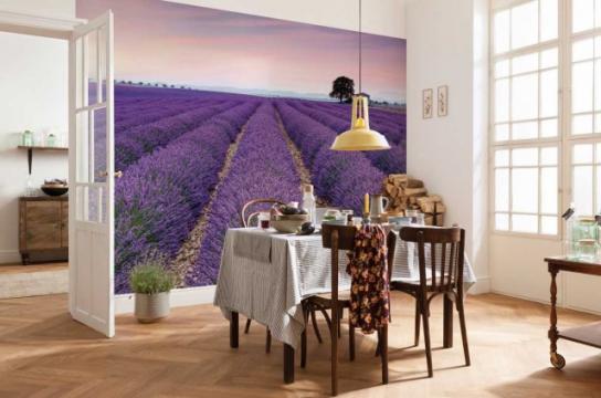 Fototapet vlies peisaj Provence de la Arbex Art Decor
