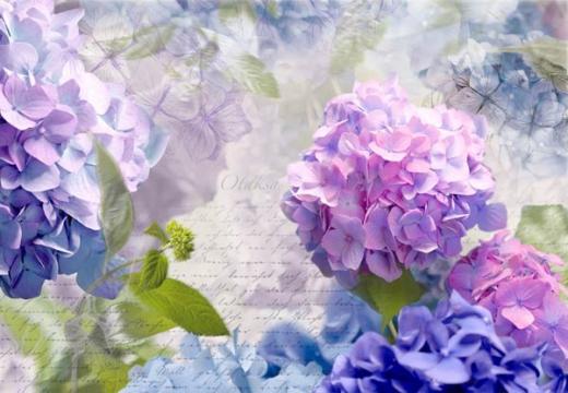 Fototapet floral Otaksa de la Arbex Art Decor