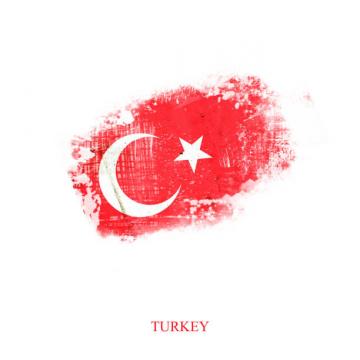 Servicii traducator autorizat limba turca