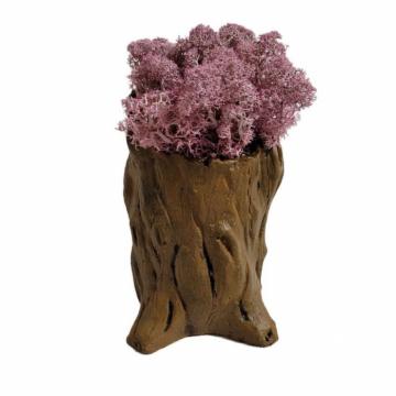 Aranjament licheni ghiveci decorativ roz M9