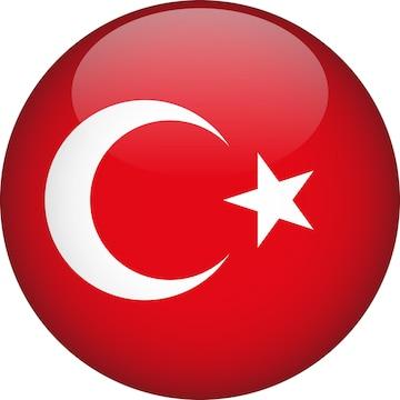 Traduceri Procura auto Turcia si Grecia de la Agentia Nationala AHR Traduceri