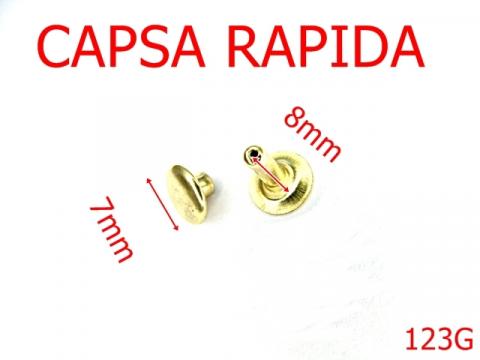 Capsa rapida 7 mm gold R38 123G