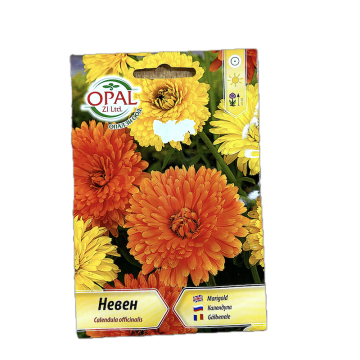Seminte flori galbenele 1,5 gr, OpalZi Bulgaria de la Loredo Srl