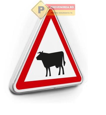 Indicator atentie animale de la Prevenirea Pentru Siguranta Ta G.I. Srl