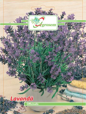 Seminte de lavanda, 0,6 grame X 50 plicuri, Agrosem