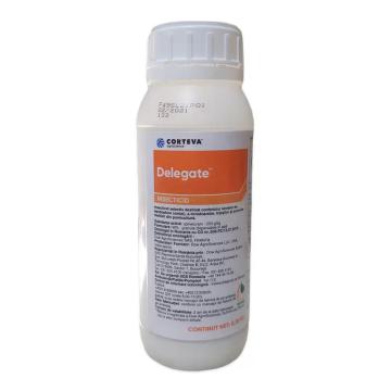 Insecticid Delegate, 250 g, Corteva