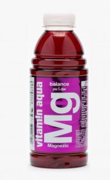 Bautura Vitamin Aqua cu Mg, Pear & Blueberry, 600ML SGR de la Supermarket Pentru Tine Srl