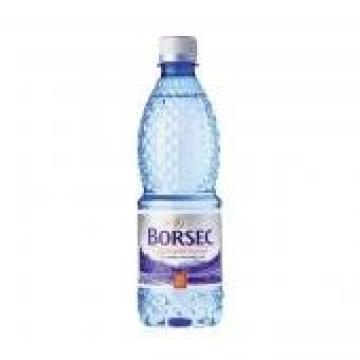 Apa plata Borsec 0.5l SGR de la Supermarket Pentru Tine Srl