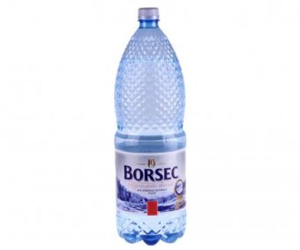 Apa plata Borsec 2l SGR de la Supermarket Pentru Tine Srl