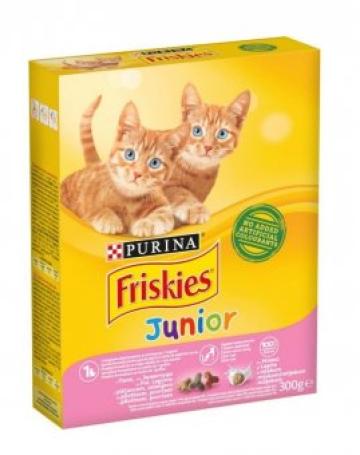 Hrana uscata pisici Friskies Junior 300g de la Supermarket Pentru Tine Srl