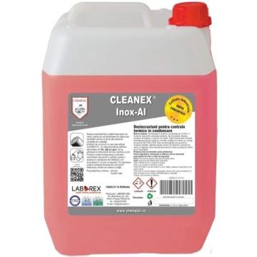 Dezincrustant Cleanex Inox-Al 10 kg de la IV & P Instalatii Srl