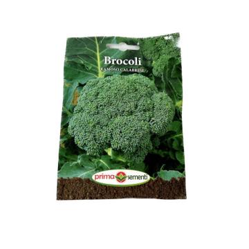 Seminte Broccoli Ramoso Calabrese, Prima Sementi de la Loredo Srl