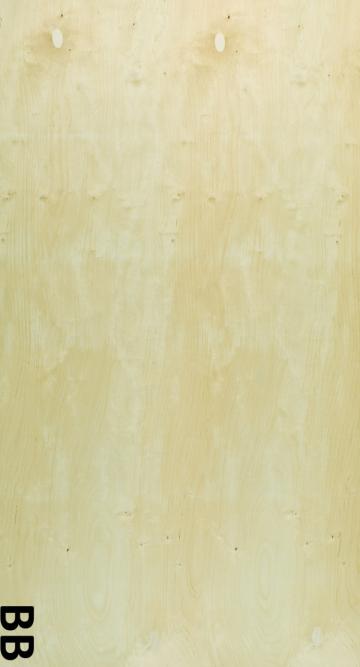 Placaj mesteacan BB/BB 24mm 1525x1525mm de la URBANIX SRL