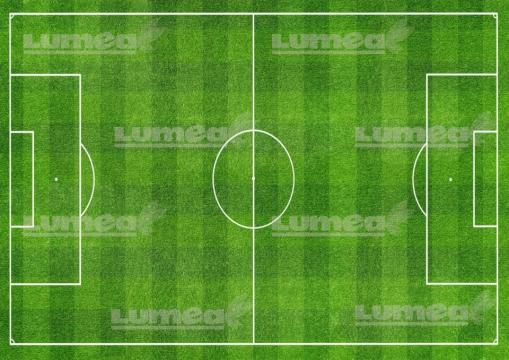 Imagine comestibila tort din zahar Teren de fotbal - Lumea