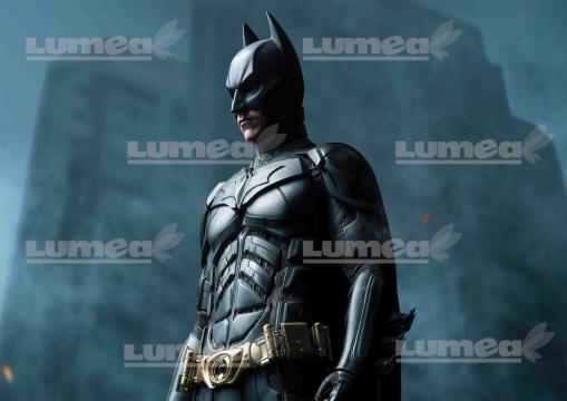 Vafa tort Batman - Lumea